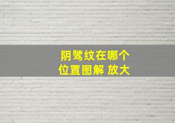 阴骘纹在哪个位置图解 放大